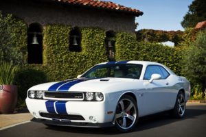 white, Cars, Dodge, Challenger, Racing, Stripes, Muscle, Car