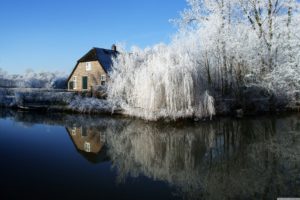 winter, Trees, Frosty, Farmhouse