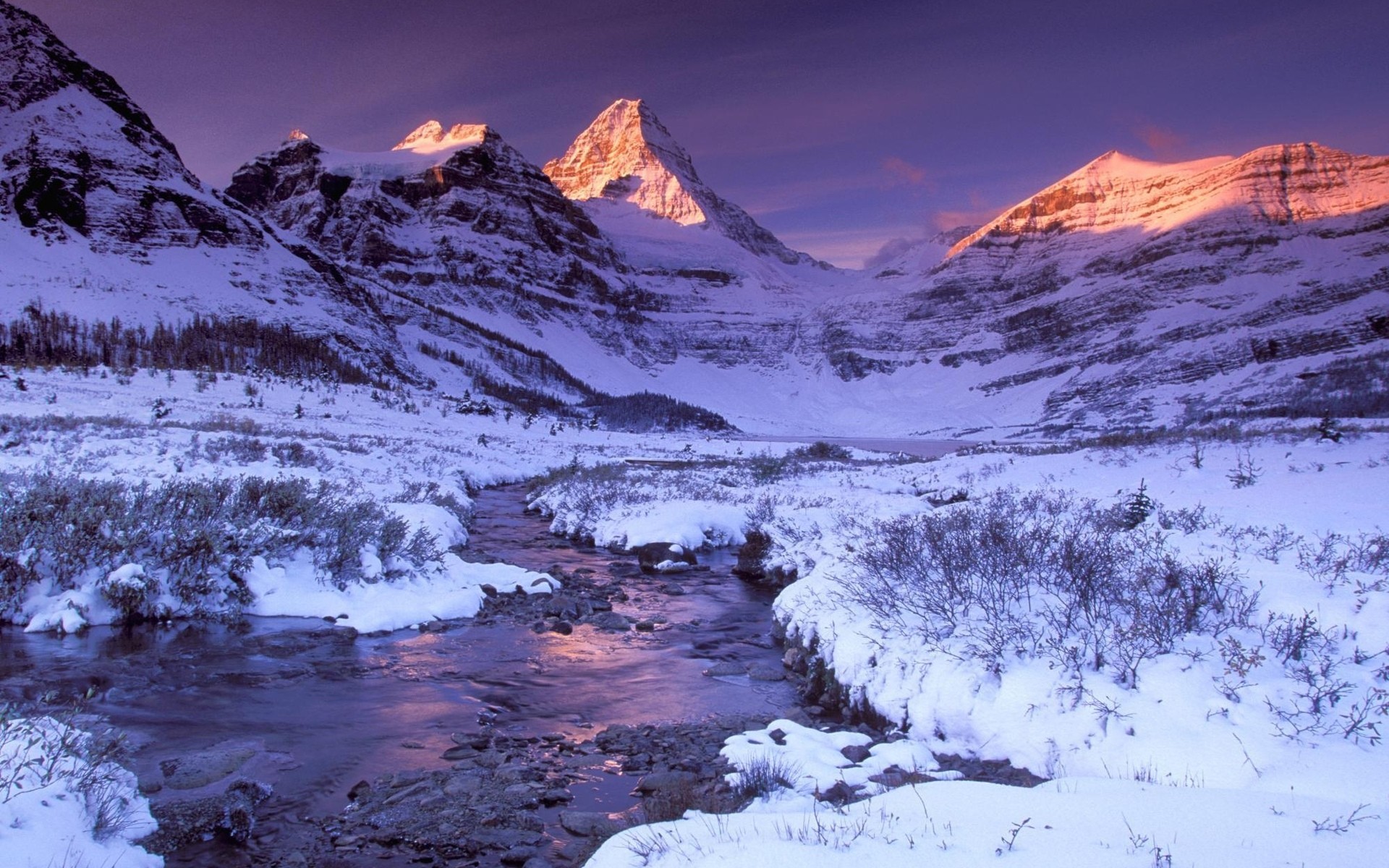 snow Wallpaper