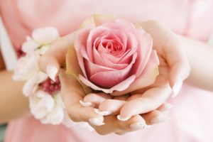 flowers, Pink, Hands, Roses