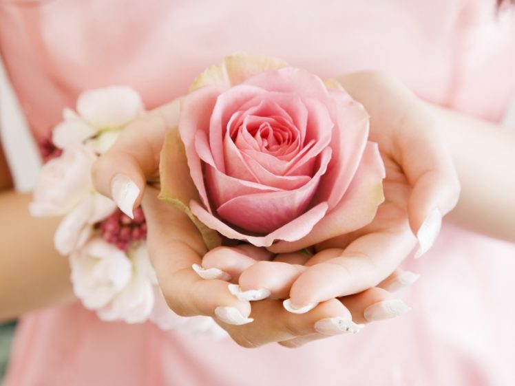 flowers, Pink, Hands, Roses HD Wallpaper Desktop Background