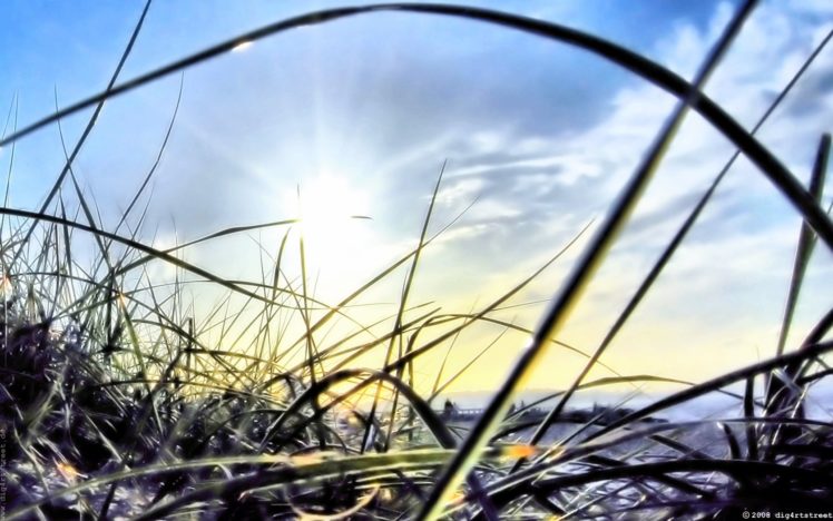 sun, Grass, Skyscapes HD Wallpaper Desktop Background