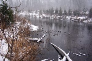 nature, Winter, Rivers