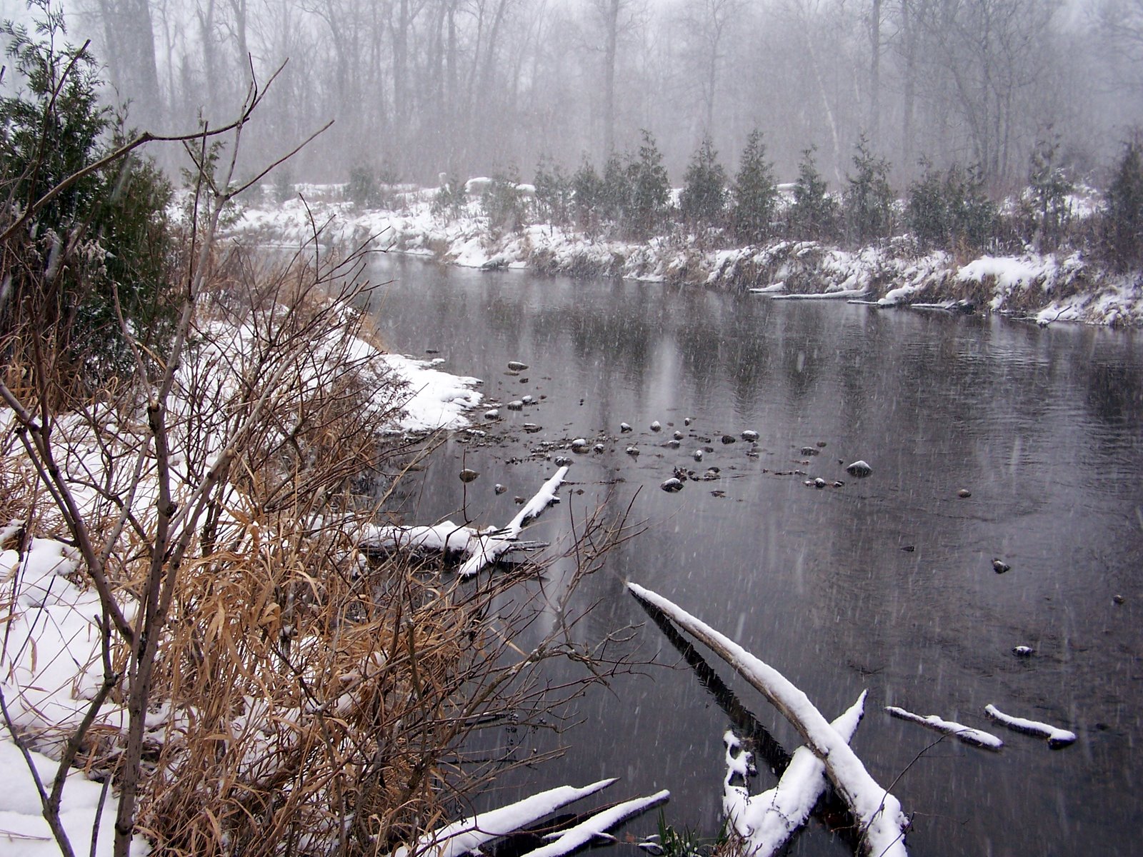 nature, Winter, Rivers Wallpaper