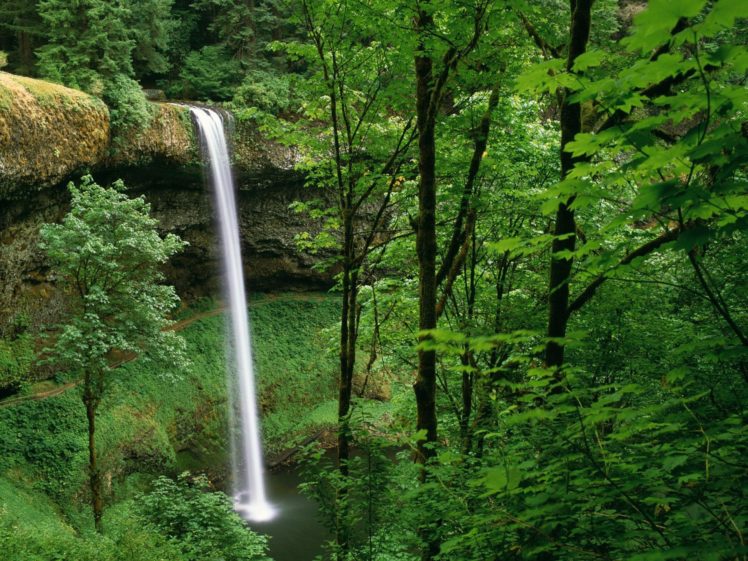landscapes, Nature, Forests, Waterfalls HD Wallpaper Desktop Background