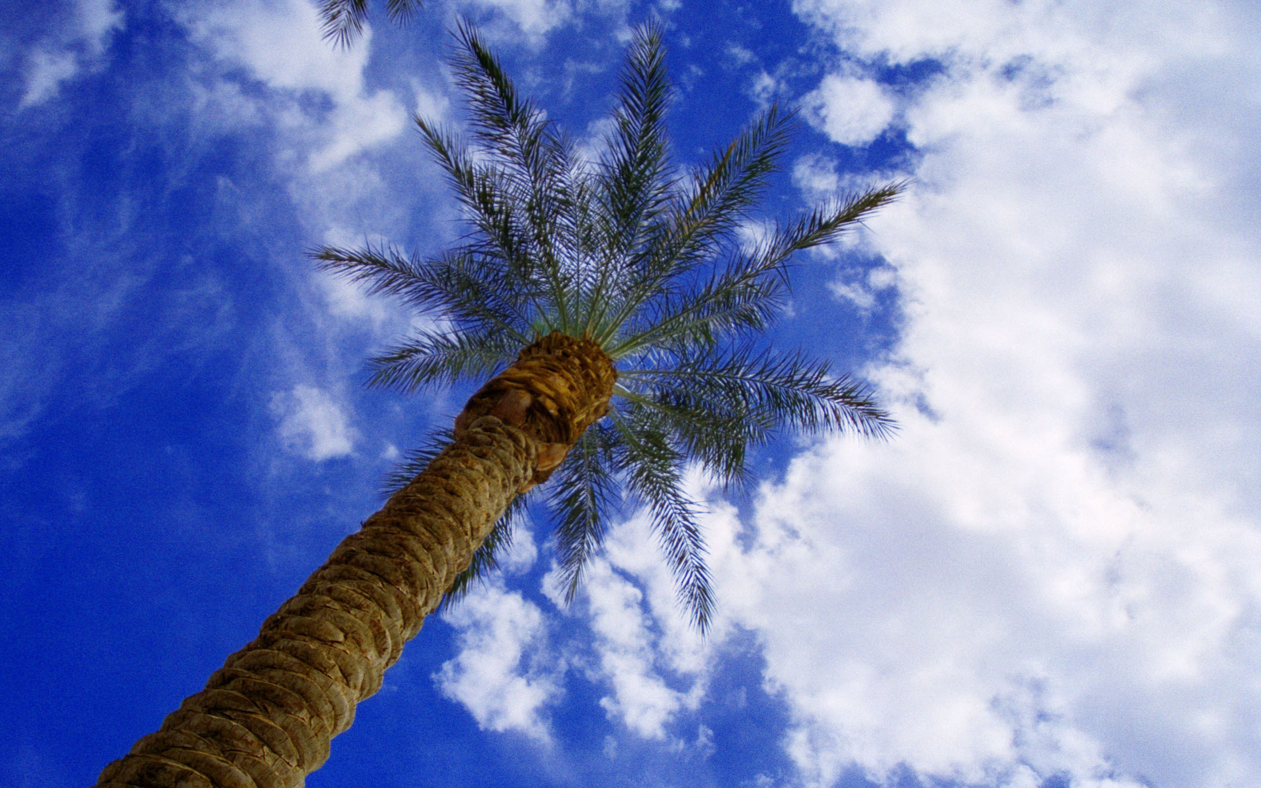 landscapes Wallpaper