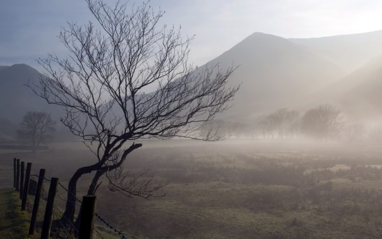mountains, Landscapes, Nature, Fog, Morning, Tree, Trunk, Protection HD Wallpaper Desktop Background