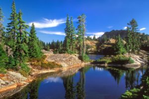 landscapes, Forests, National, Lakes, Washington