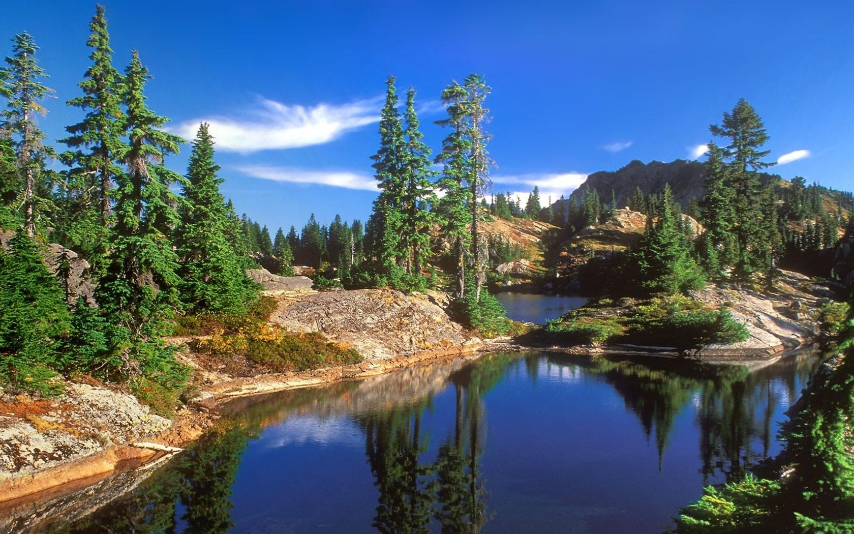 landscapes, Forests, National, Lakes, Washington Wallpaper