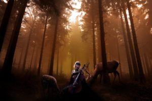 forests, Deer, Cello, Artwork, Melody, Cellist