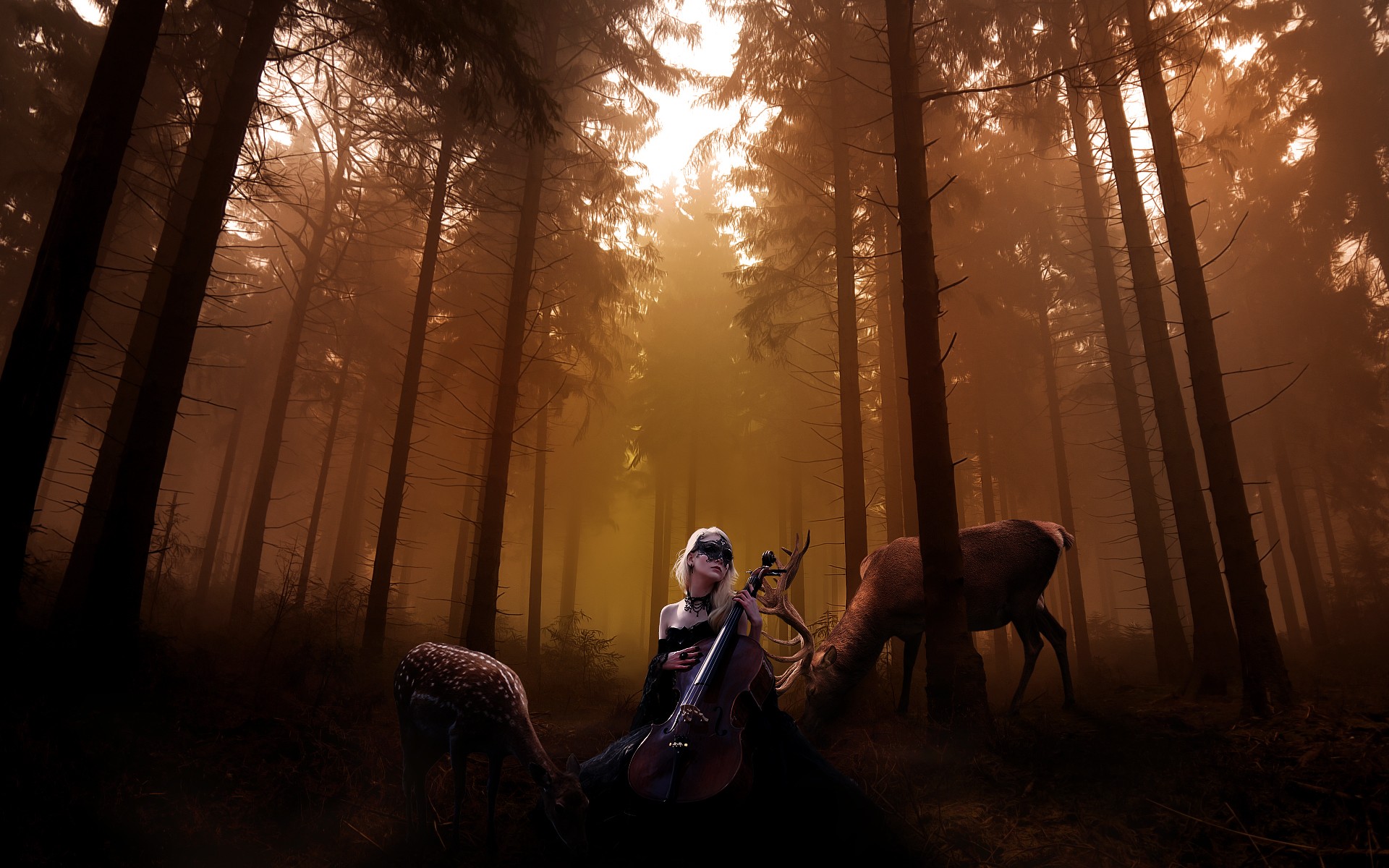 forests, Deer, Cello, Artwork, Melody, Cellist Wallpaper