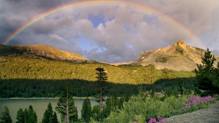 california, National, Park, Mount, Yosemite, National, Park HD Wallpaper Desktop Background