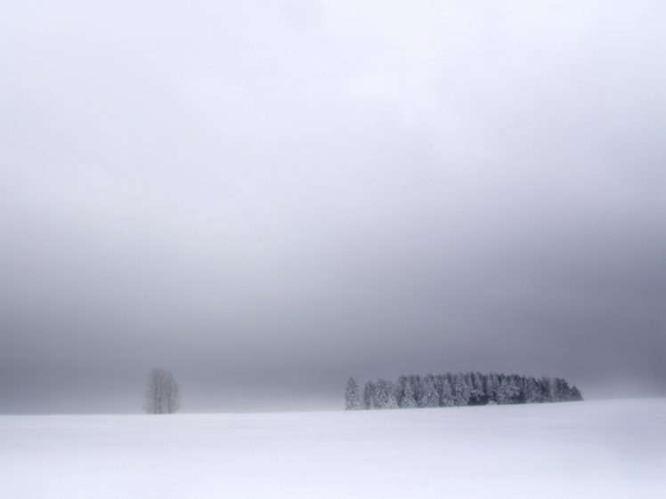 nature, Winter, Snow, White, Fog, Outdoors, Plants, Snow, Landscapes HD Wallpaper Desktop Background