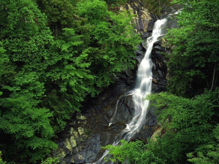 green, Nature, Forests, Waterfalls, Exotic HD Wallpaper Desktop Background