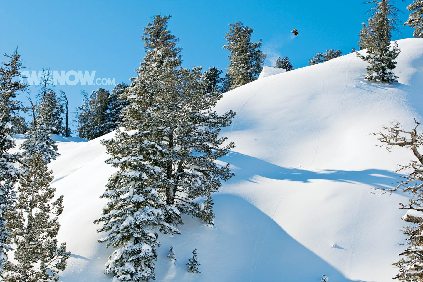 mountains, Snow, Trees, Snowboarding Wallpaper