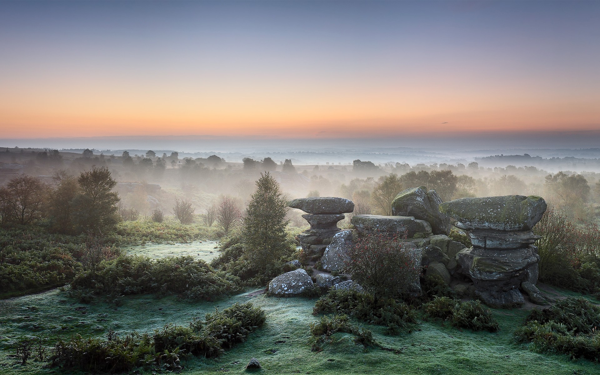 landscapes, Nature, Trees, Rocks, Fog Wallpaper