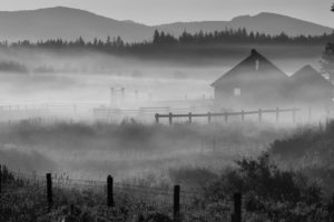 fog, Oregon, Morning, House, Ranch