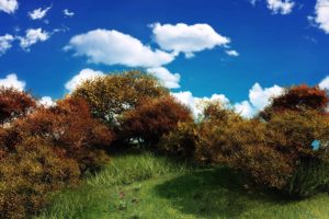 clouds, Landscapes, Nature, Trees, Blue, Skies