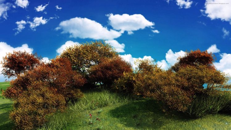 clouds, Landscapes, Nature, Trees, Blue, Skies HD Wallpaper Desktop Background