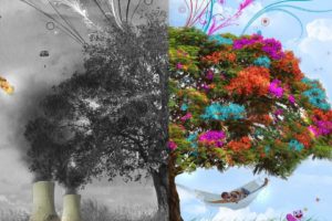 nature, Trees, Seasons, Digital, Art, Four, Seasons