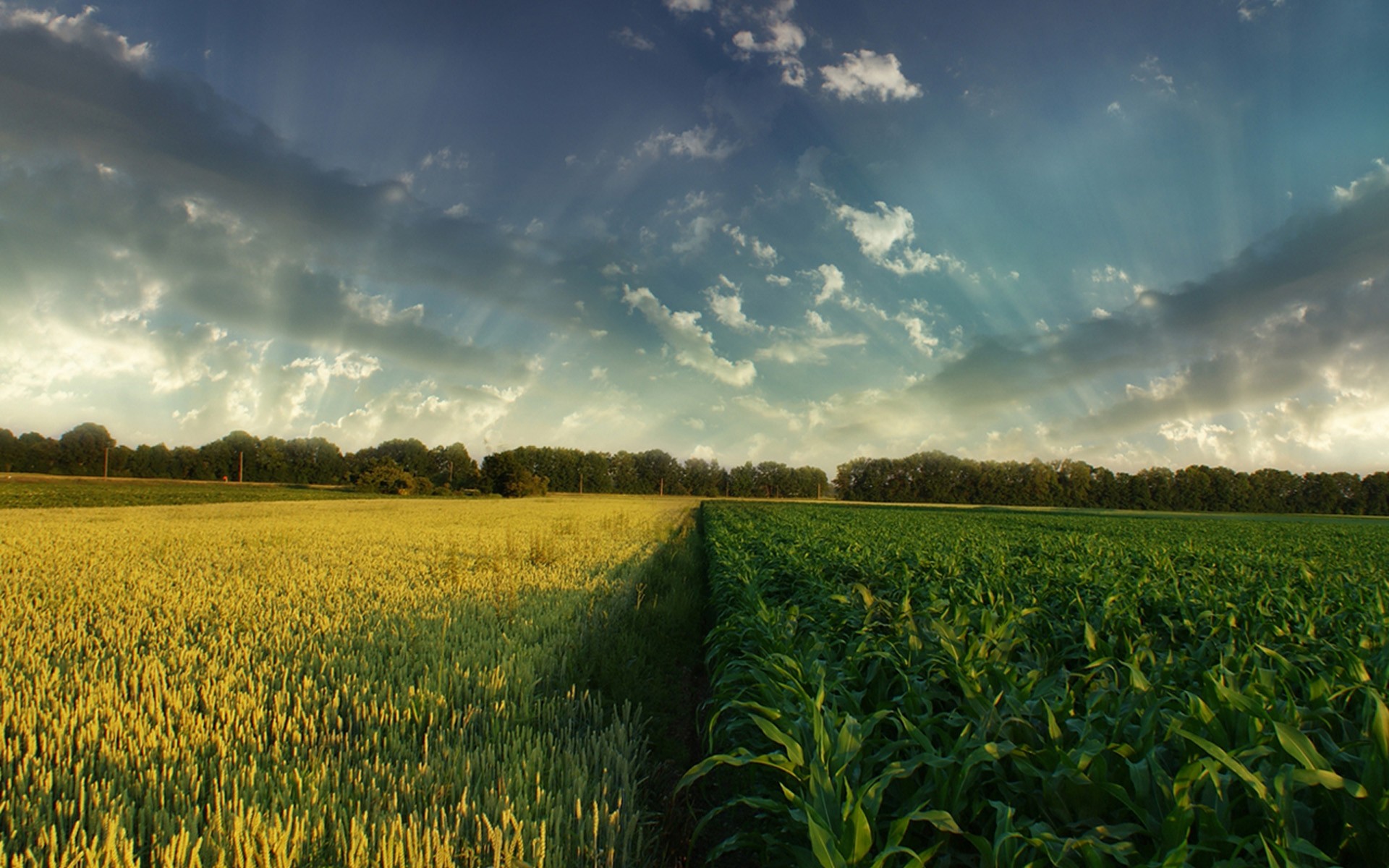 landscapes, Nature, Fields, Hdr, Photography, Crops Wallpaper