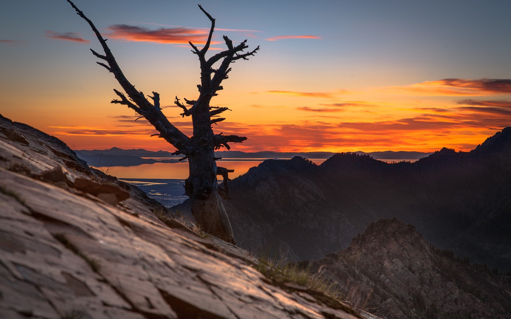 landscapes, Nature, Trees, Dawn, Skyscapes Wallpaper