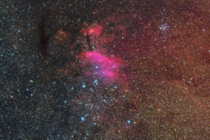 nebula, Stars, Fs