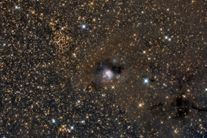 nebula, Stars, Rw