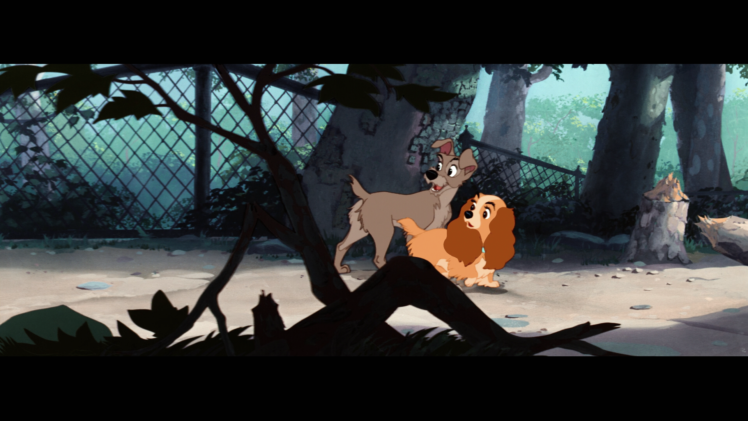 lady, And, The, Tramp, Disney, Tw HD Wallpaper Desktop Background