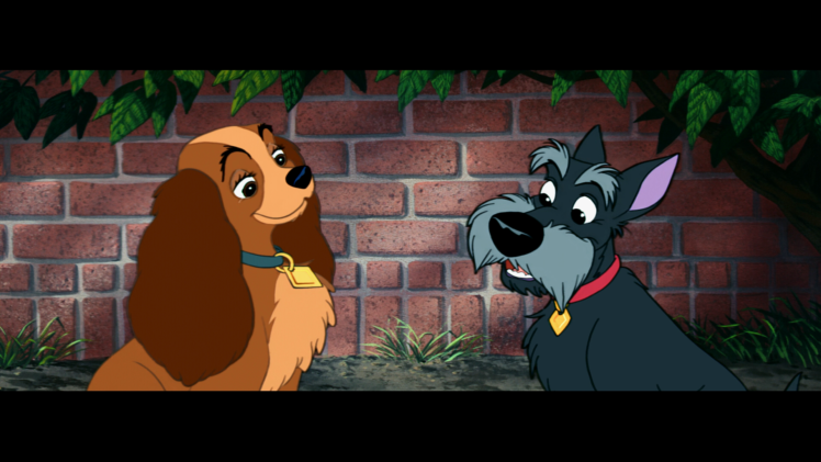 lady, And, The, Tramp, Disney, We HD Wallpaper Desktop Background