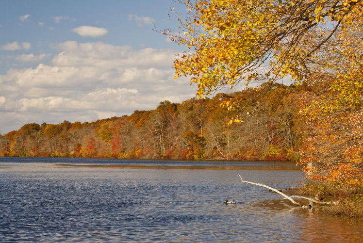 autumn, Lake, Trees, Landscape HD Wallpaper Desktop Background