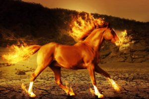 horse, Fire, 3d, Art, Psychedelic