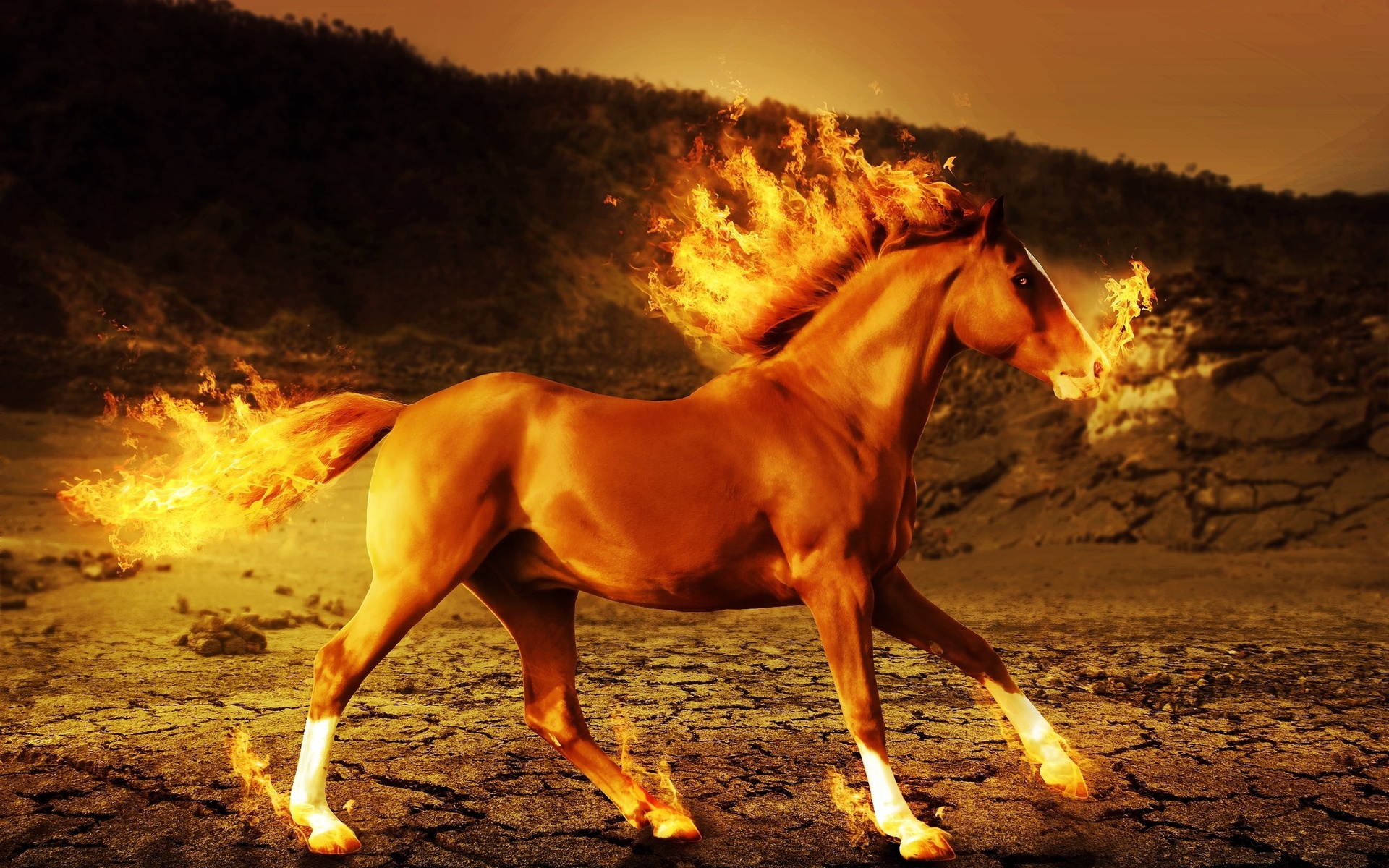 horse, Fire, 3d, Art, Psychedelic Wallpaper