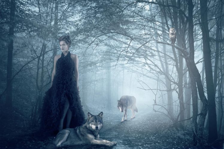 isadora, Vilarim, Girl, Wolf, Owl, Forest, Wolves, Gothic, Goth, Loli, Mood HD Wallpaper Desktop Background