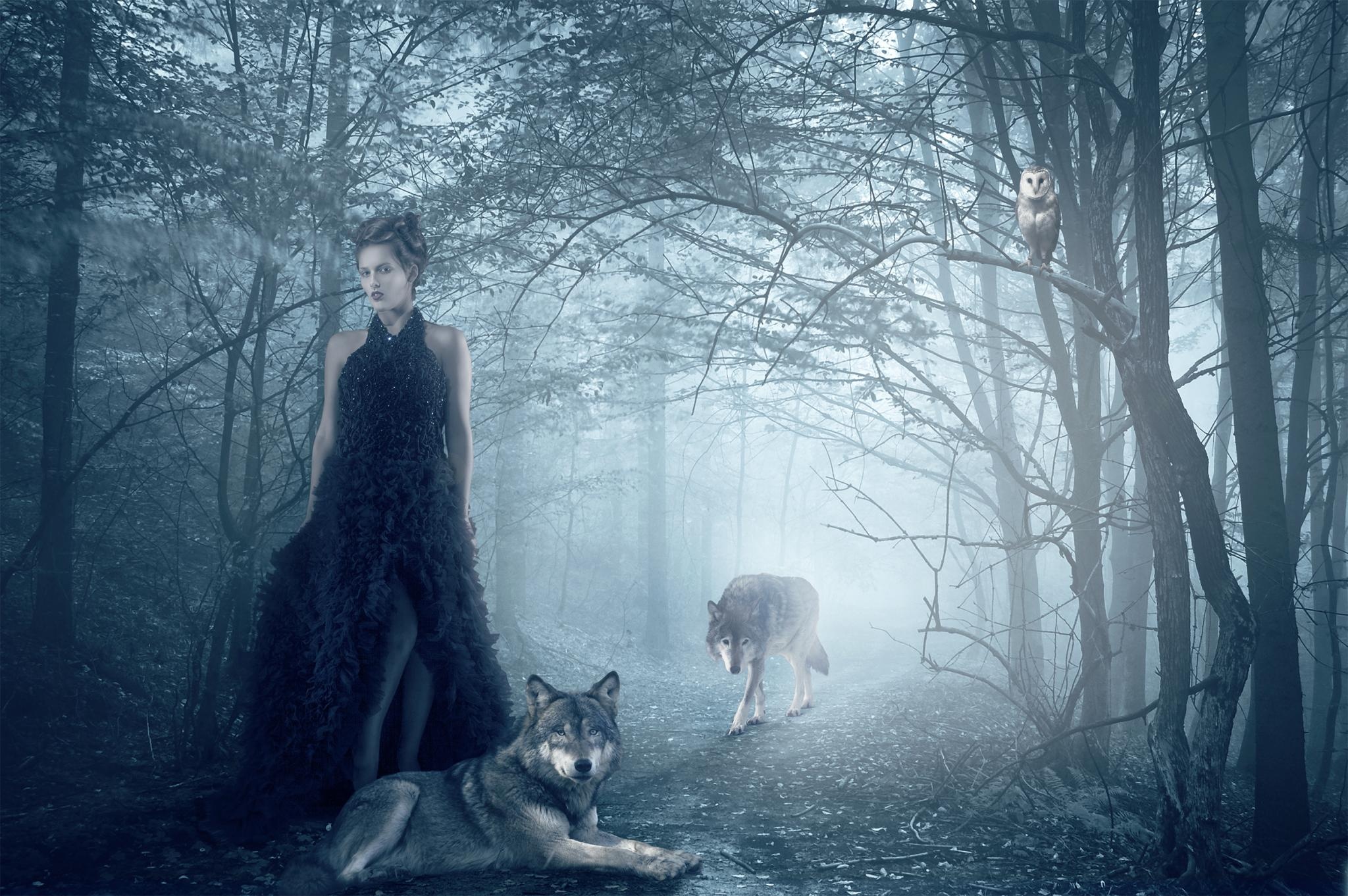 isadora, Vilarim, Girl, Wolf, Owl, Forest, Wolves, Gothic, Goth, Loli, Mood Wallpaper