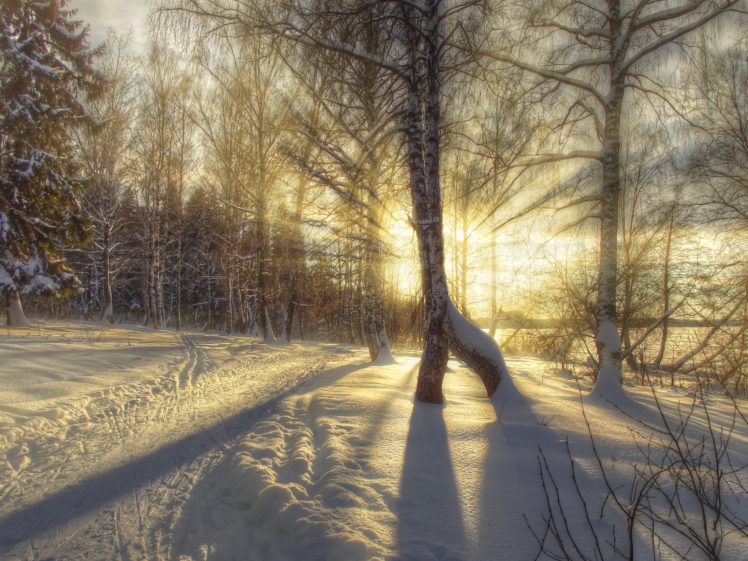 landscape, Nature, Winter, Road, Forest, Sun, Rays, Hdr, Snow, Sunrise, Sunset HD Wallpaper Desktop Background