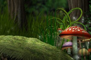 mushrooms, Forest, Grass, Art