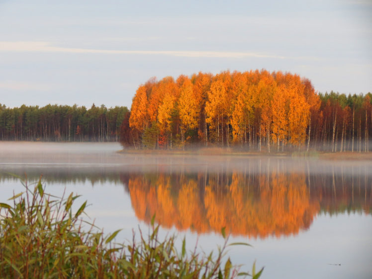 pond, Quiet, Forest, Autumn, Haze, Reflection HD Wallpaper Desktop Background