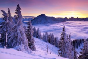 sunrise, Sunset, Mountains, Snow, Spruce, Fog