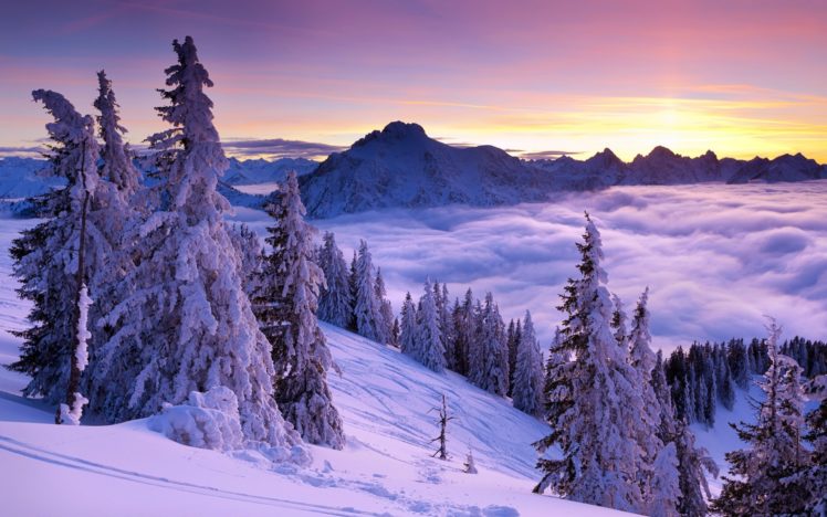 sunrise, Sunset, Mountains, Snow, Spruce, Fog HD Wallpaper Desktop Background