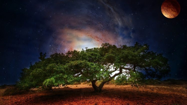 tree, Art, Planet, Light, Fantasy, Sci fi, Galaxy, Sky, Stars HD Wallpaper Desktop Background