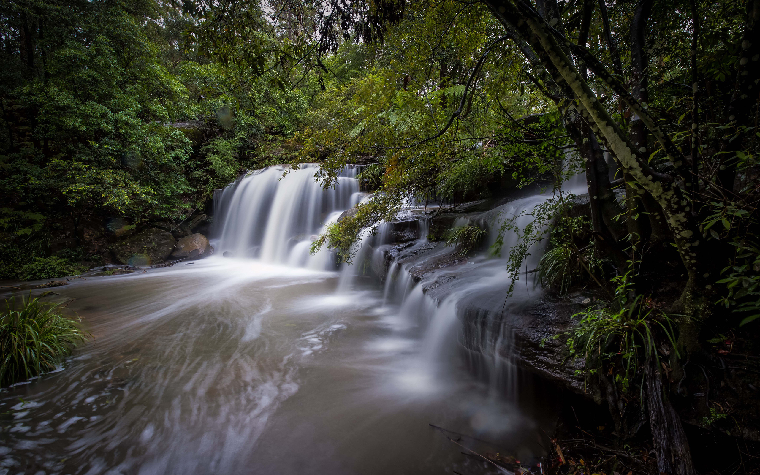 waterfall, Forest Wallpaper