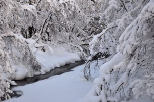 winter, River, Trees, Nature