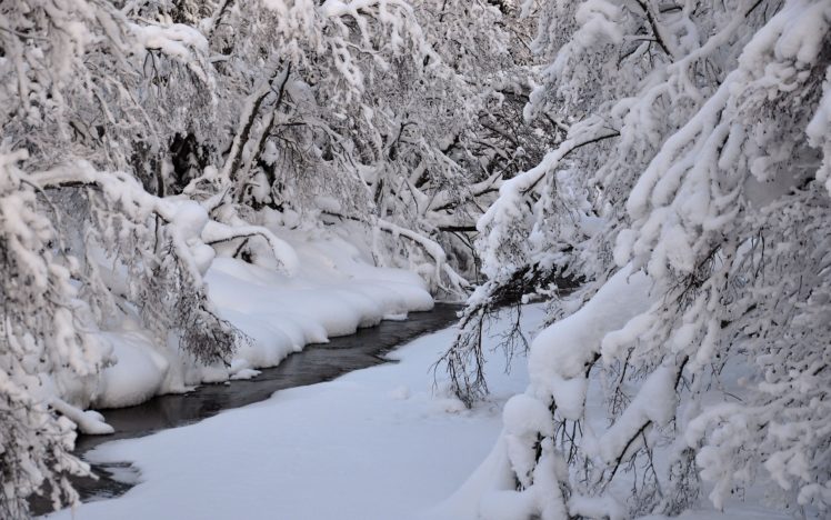 winter, River, Trees, Nature HD Wallpaper Desktop Background