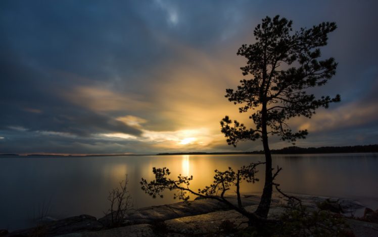 sunset, Landscapes, Nature, Trees, Lakes HD Wallpaper Desktop Background