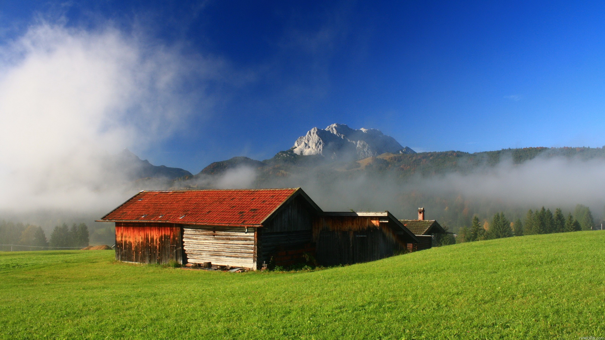 nature Wallpaper