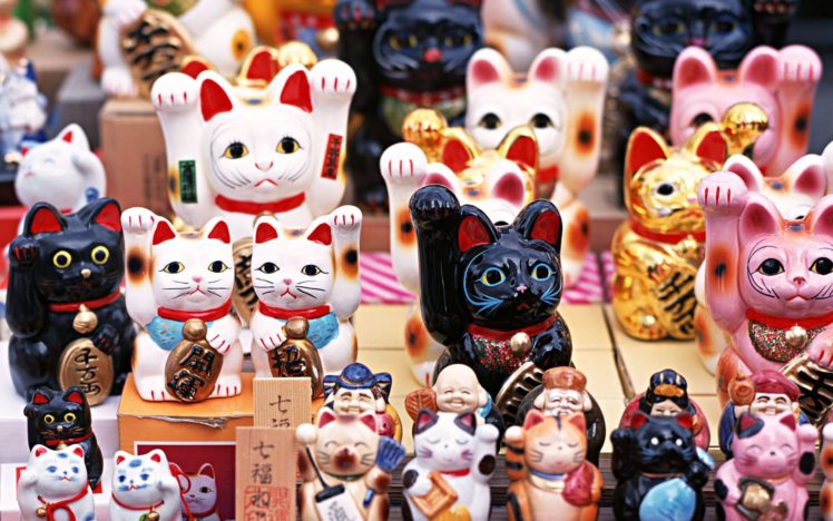 japan, Cats HD Wallpaper Desktop Background