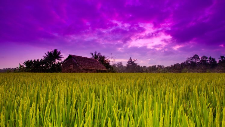 grass, Houses, Skyscapes HD Wallpaper Desktop Background