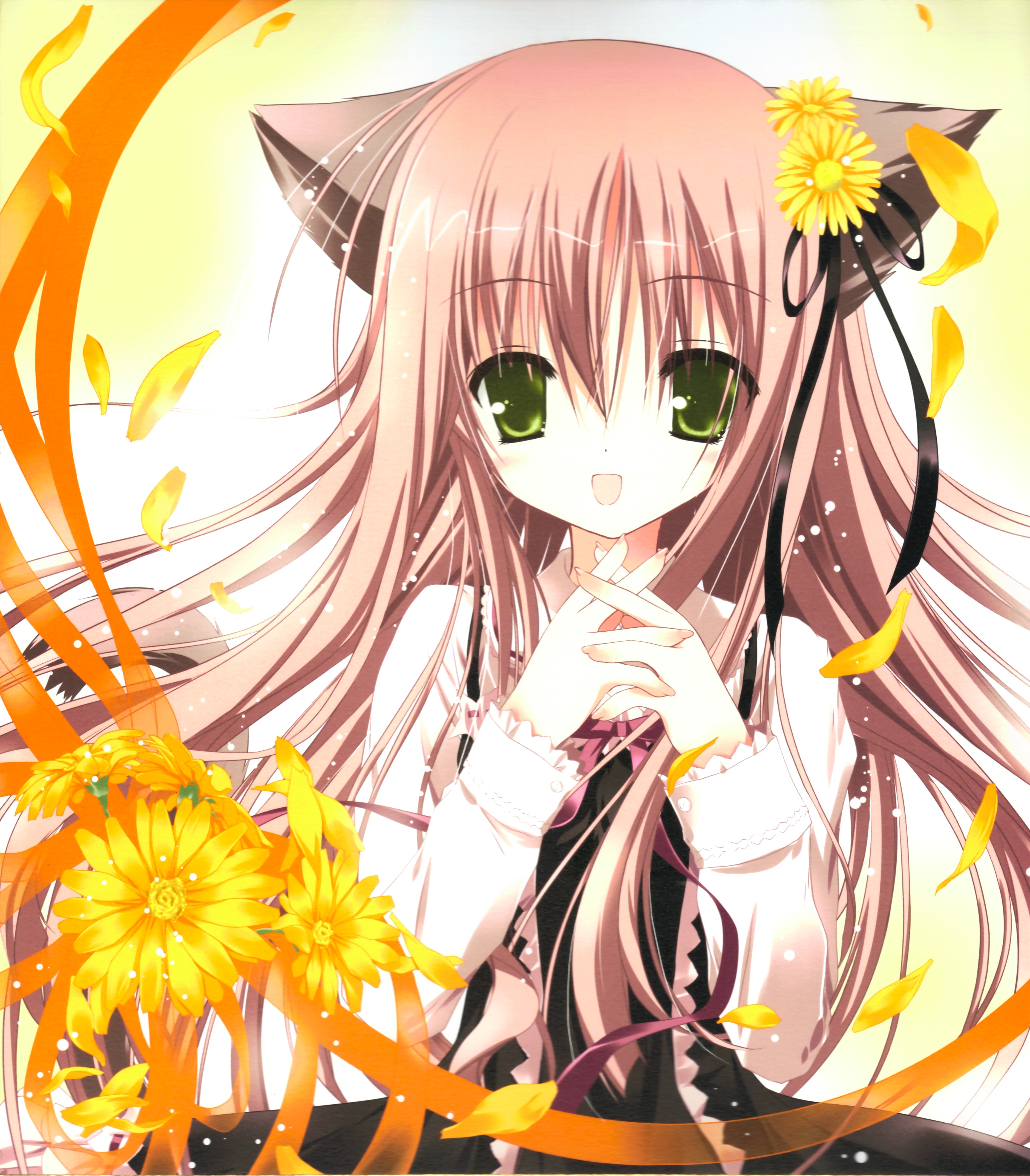 cat, Ears, Lolicon, Tinkerbell, Lolita, Fashion, Tinkle, Illustrations, Anime, Girls Wallpaper