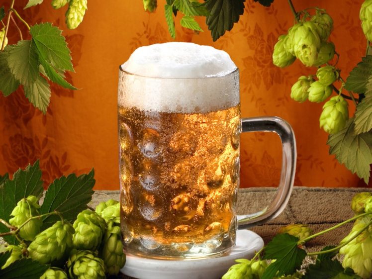 beers, Drinking HD Wallpaper Desktop Background